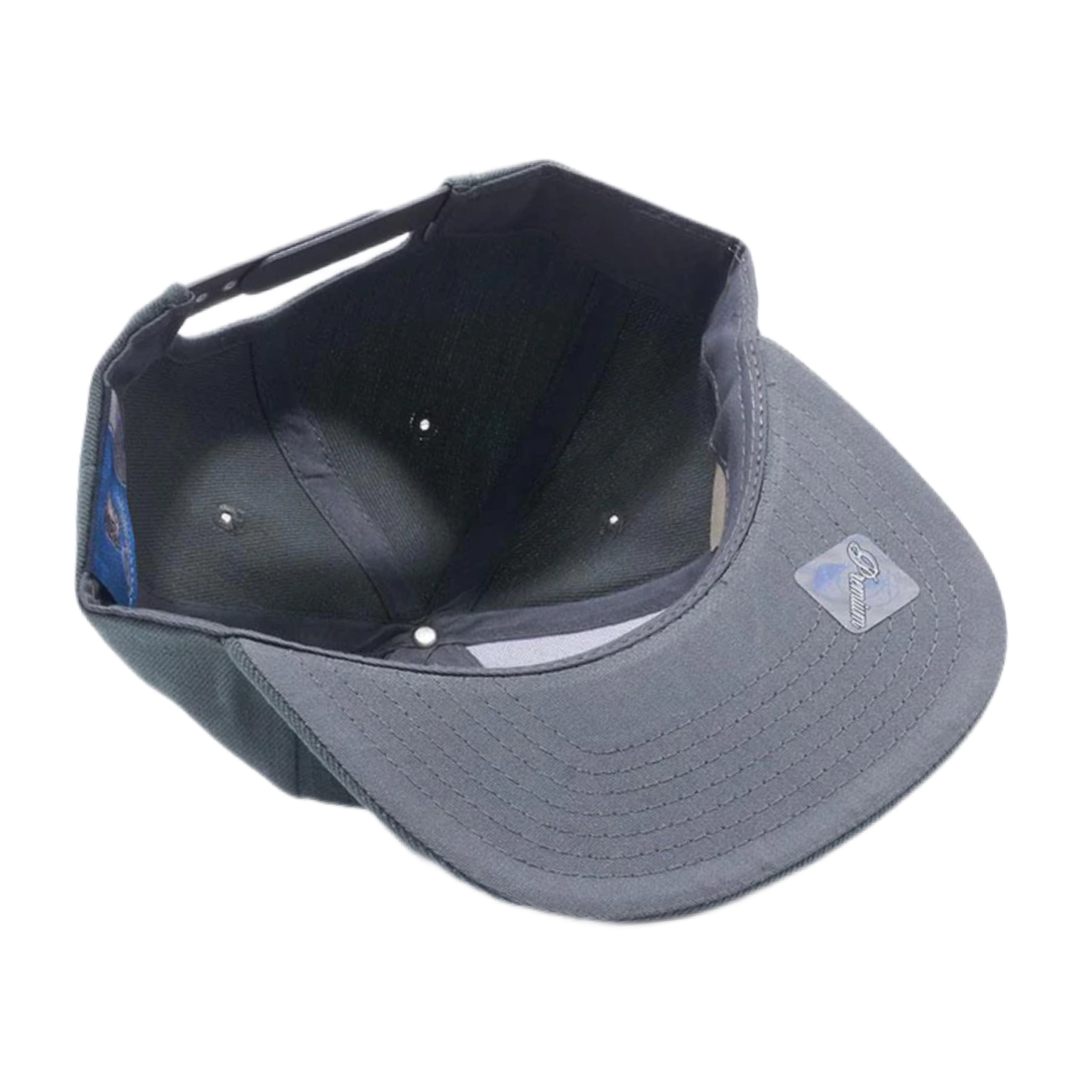 Pit Bull Plain Snapback Hat