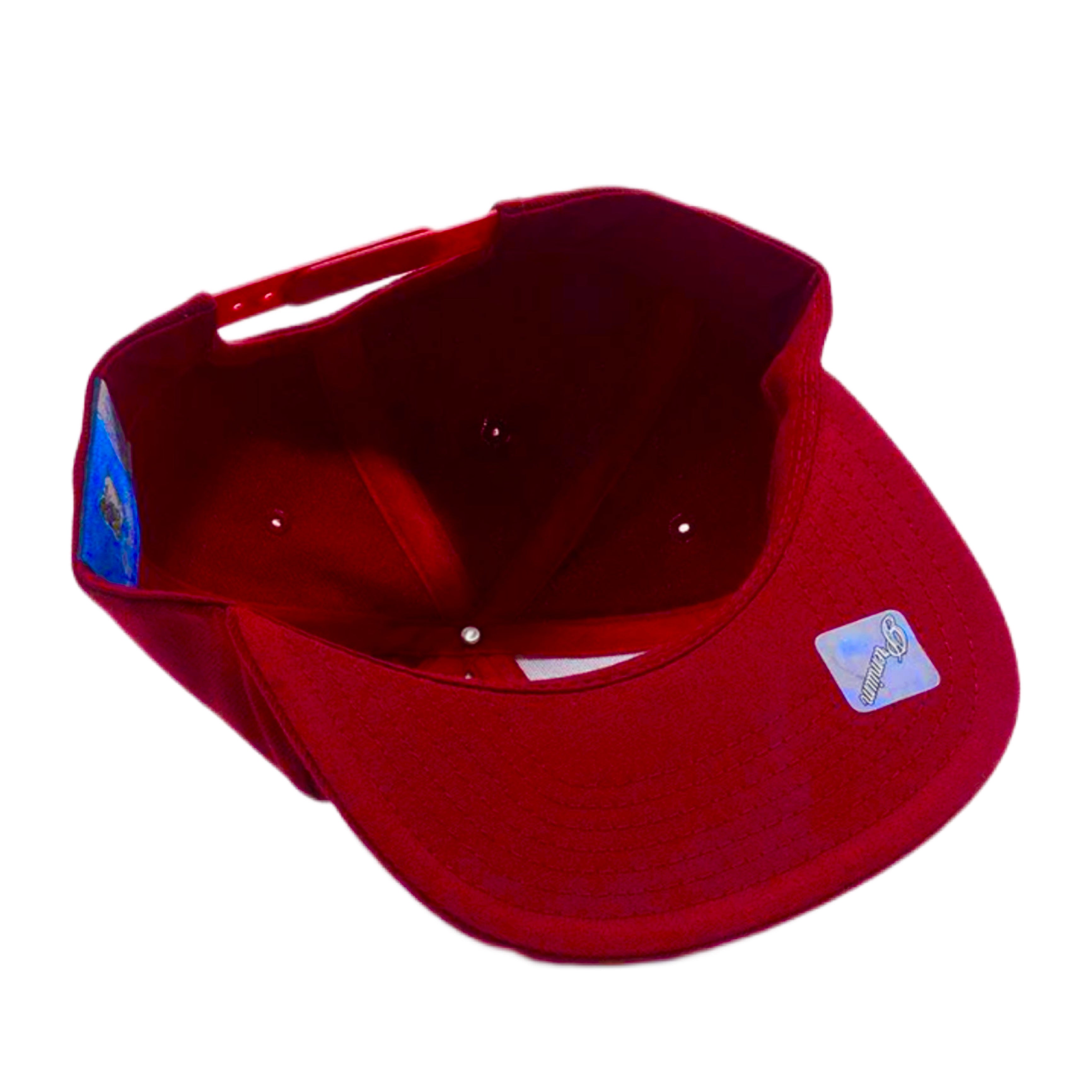 Pit Bull Plain Snapback Hat