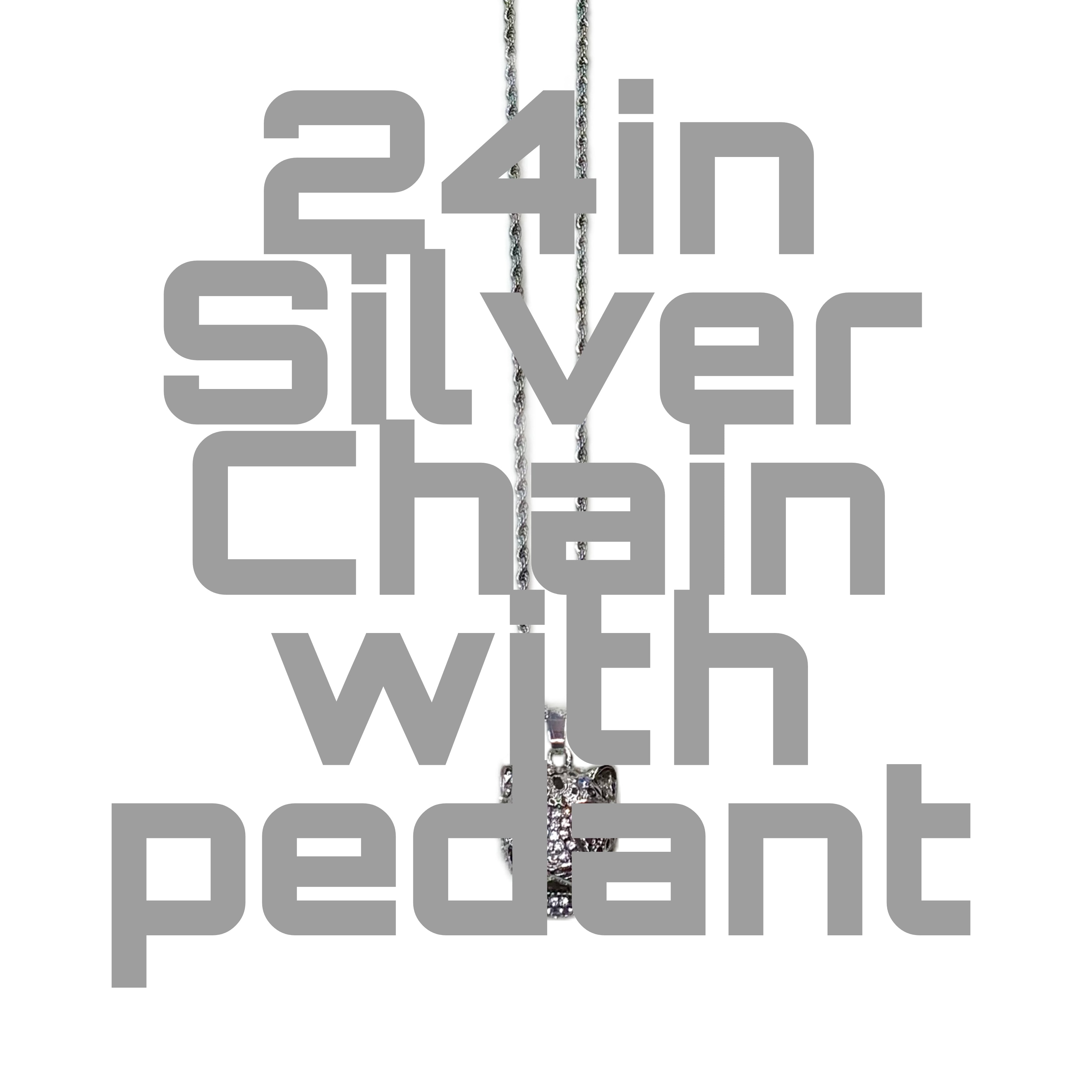 Fashion Sliver (not real) 24in Chain with Pendant